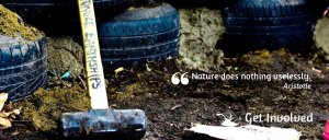 naturedoesnothinguseless