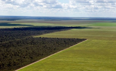 Aerial view of the Cerrado and soy monoculture © Adriano Gambarini / WWF-Brazil